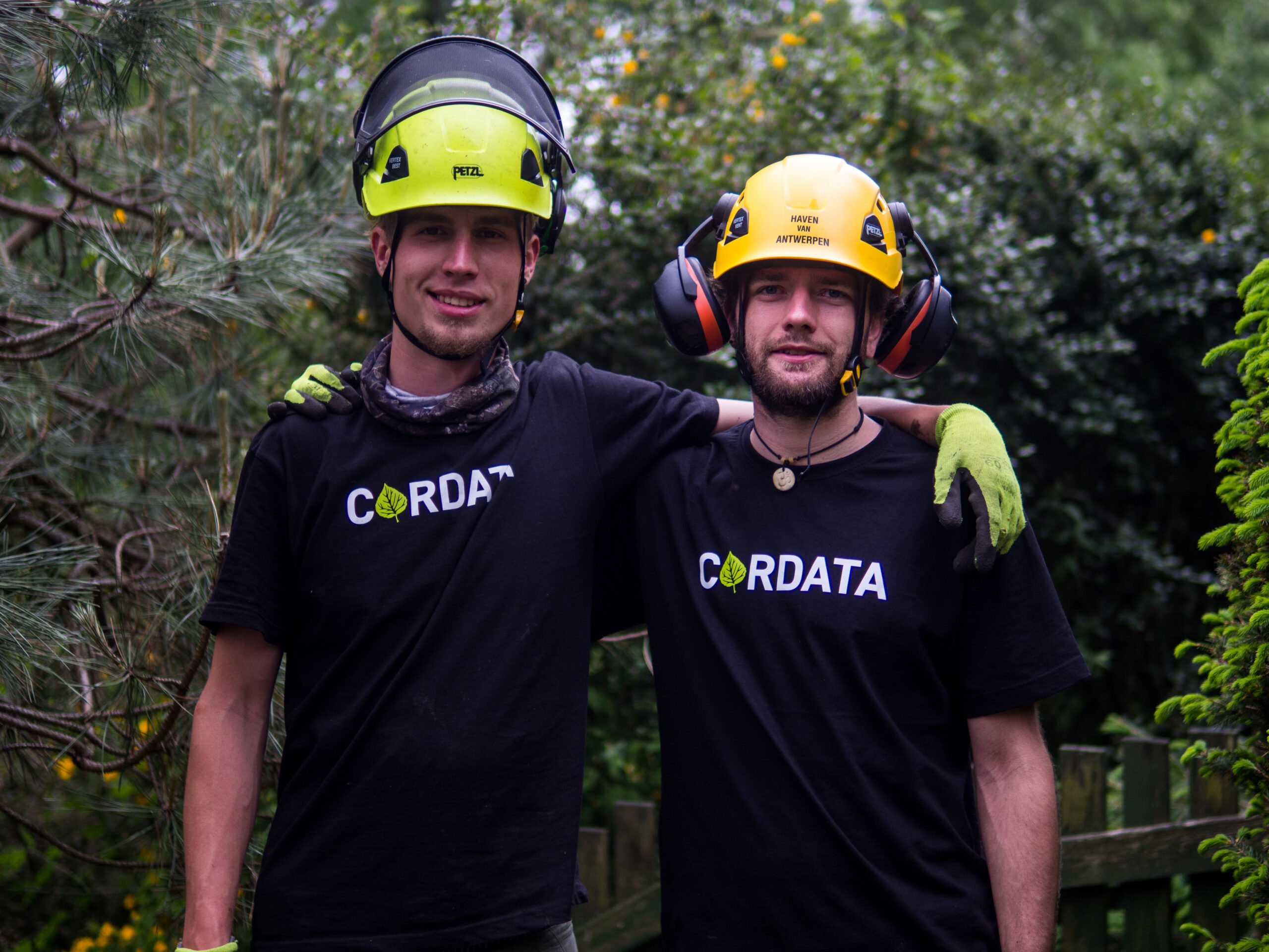 tym_cordatacare_pece_o_zelen