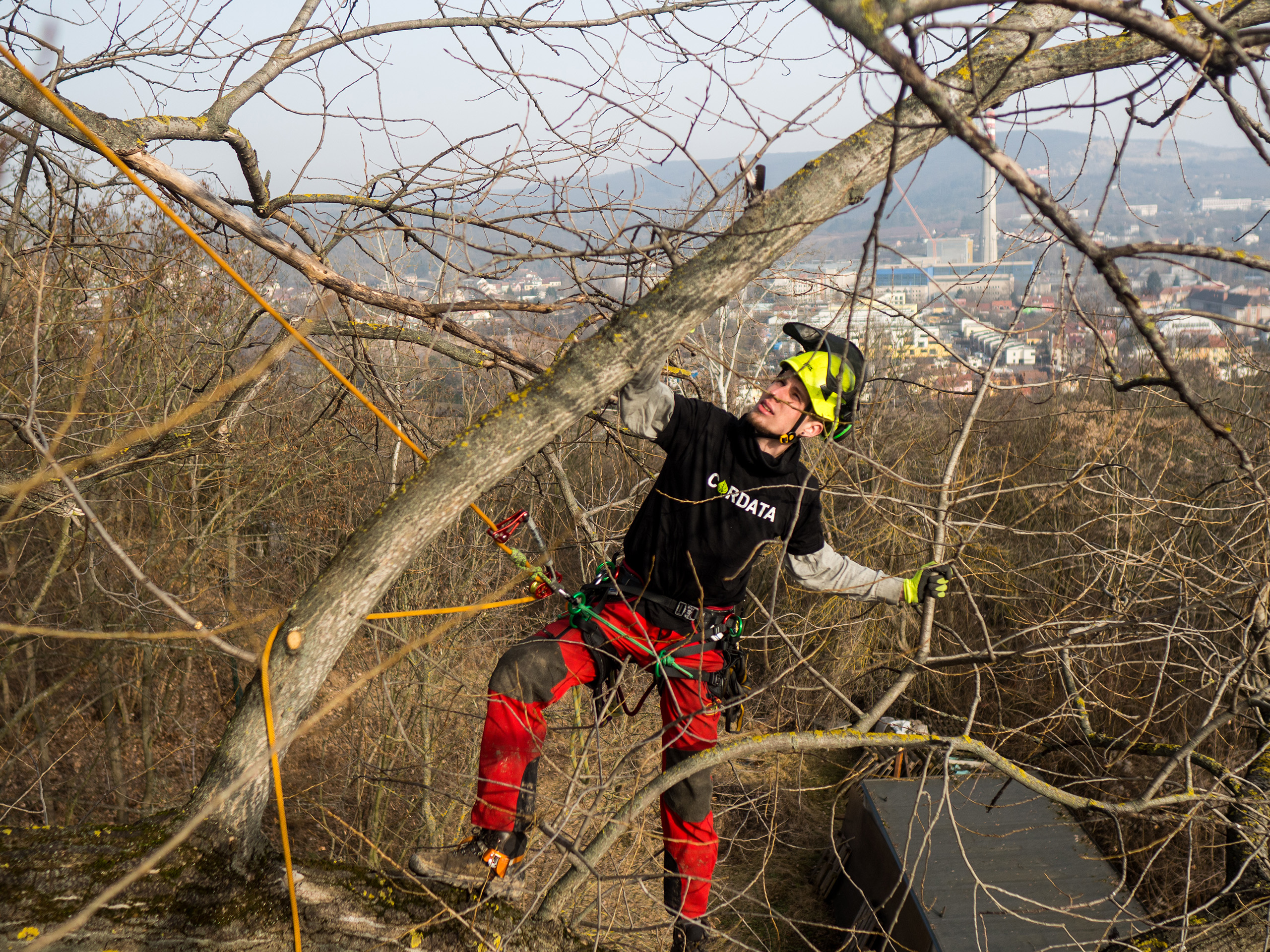 rizikove-kaceni-cordatacare-brno